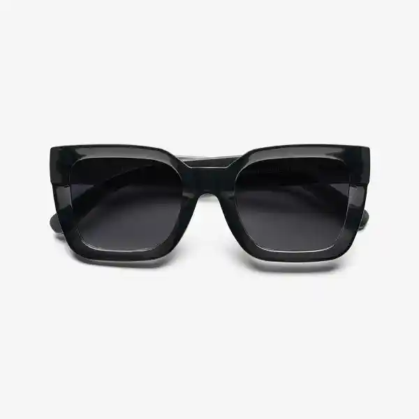 B+D Gafas Sol Bellevue Ne