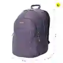 Morral Universitario Porta Pc 15.4" Cambri 2.0 Morado Mujer