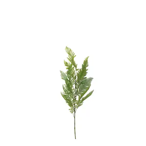 Hoja Helecho 114 cm Ambiente Gourmet
