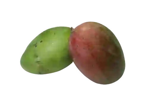 Mango Yulima