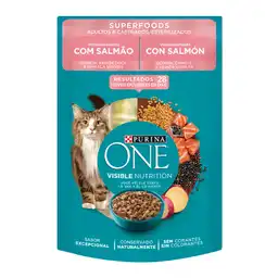 One Alimento para Gato Adulto Castrado con Sabor a Salmón