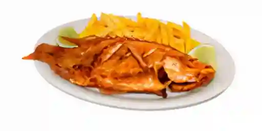 Tilapia