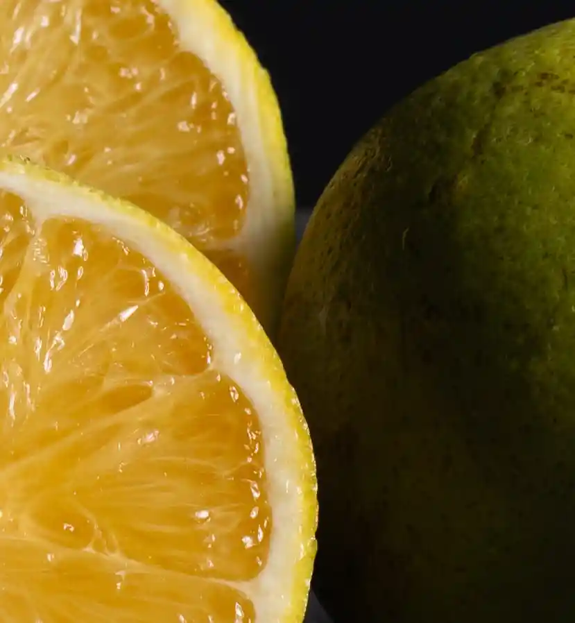 Naranja Valencia