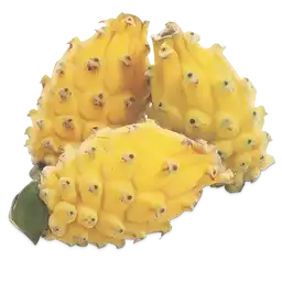 Makro Pitahaya