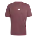 Adidas Camiseta Sl Sj Manga Corta Lifestyle Hombre Rojo Talla XL