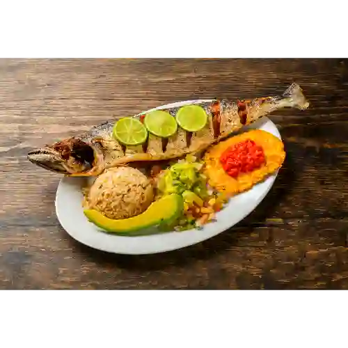 Sierra Frita Entera Pescado