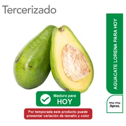 Aguacate Para Hoy Turbo