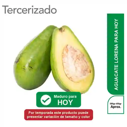 Aguacate Para Hoy Turbo