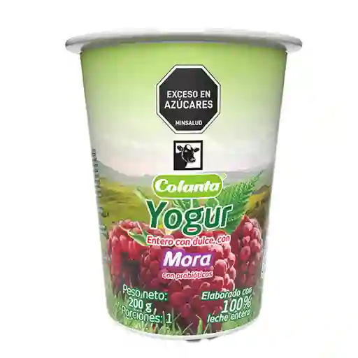 Yogur Entero Mora Colanta Vaso x 200 g