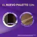 Tinte Palette Color Creme 5-68 Chocolate