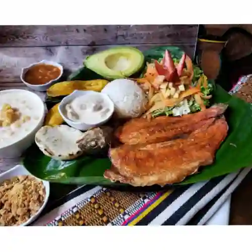 Trucha Dorada O en Salsa de la Casa