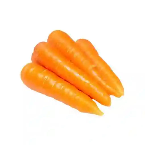 Zanahoria Comun - Fruberries