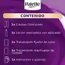 Tinte Palette Color Creme 6-65 Rubio Vainilla