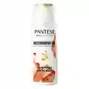 Pantene Shampoo Anticaída + Biotinamina B3 Cabello Débil