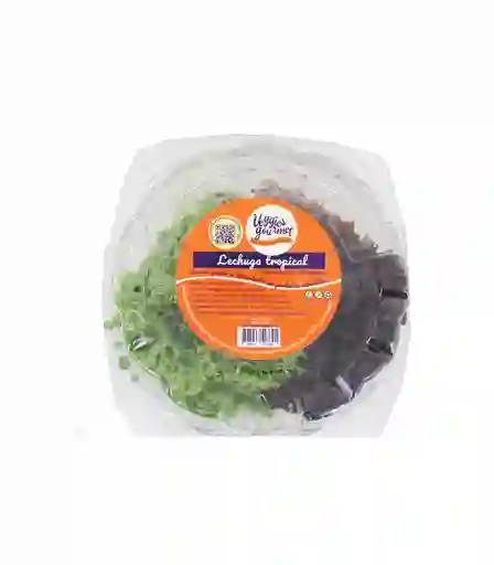 Veggies Gourmet Lechuga Tropical 