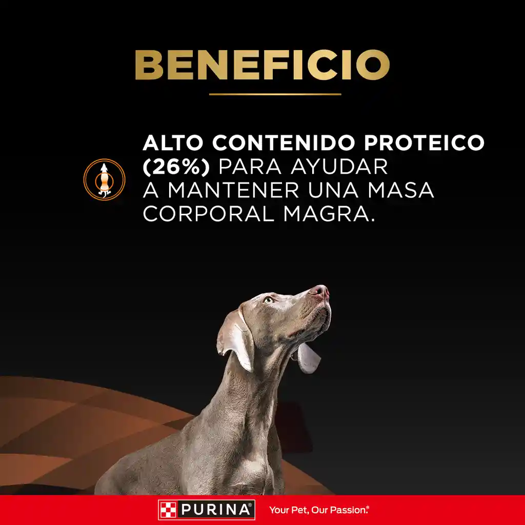 Comida para perro Purina Pro Plan Veterinary Diets OM Obesidad x 2kg