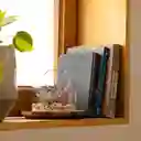 Maceta Cactus de Vidrio