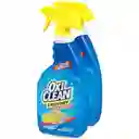 Oxi Clean Laundry y More Stain Remover