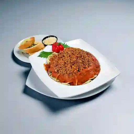 Bolognesa