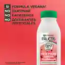 Acondicionador Hair Foof Garnier Sandía Revitalización 300 mL