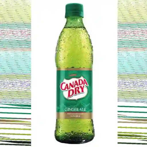 Canada dry ginger ale 300 ml