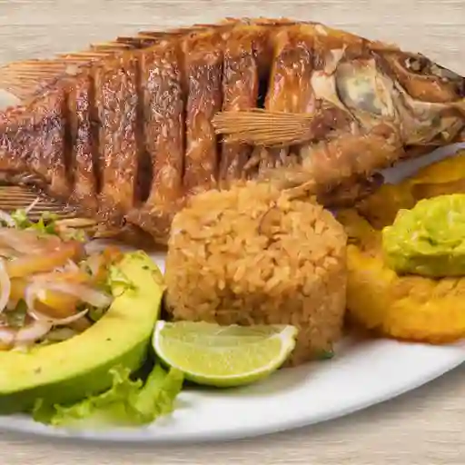 Tilapia