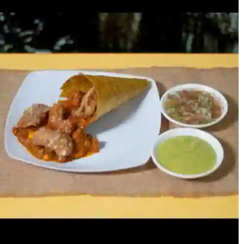 Kono Criollo