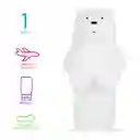 Botellas de Viaje Polar we Bare Bears Collection 5.0 Miniso