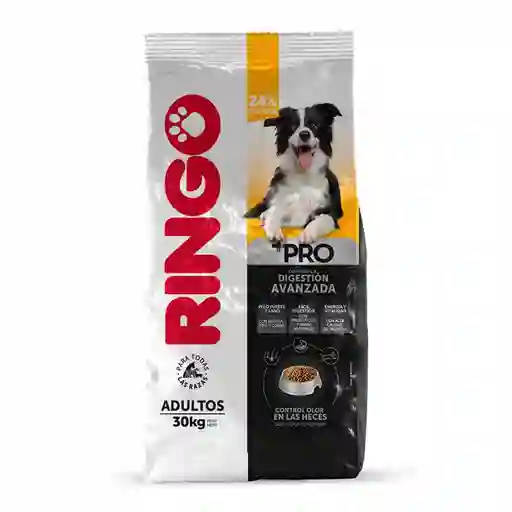Ringo Alimento Premium para Perro Adulto +Pro