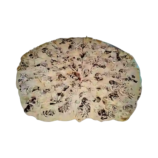 Pizza de Pollo y Champiñón Médium