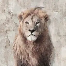 Canvas 20x20 Cm Animales 02