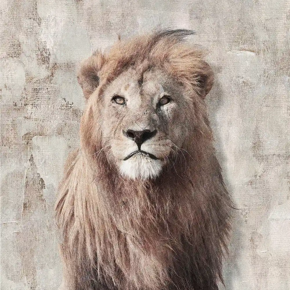 Canvas 20x20 Cm Animales 02