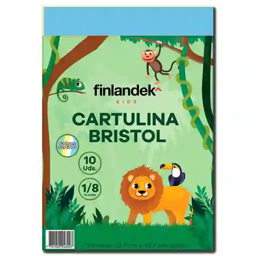 Finlandek Cartulina Bristol Blanco 1/8