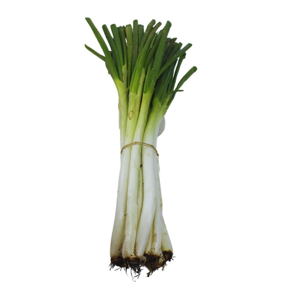 Cebolla Larga x kg