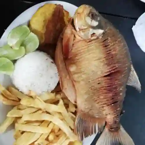 Cachama Frita