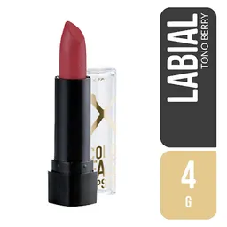 Max Factor Labial Cremoso Colorfast Tono #89 Berry