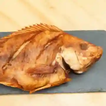 Mojarra León