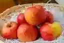 Manzana Gala
