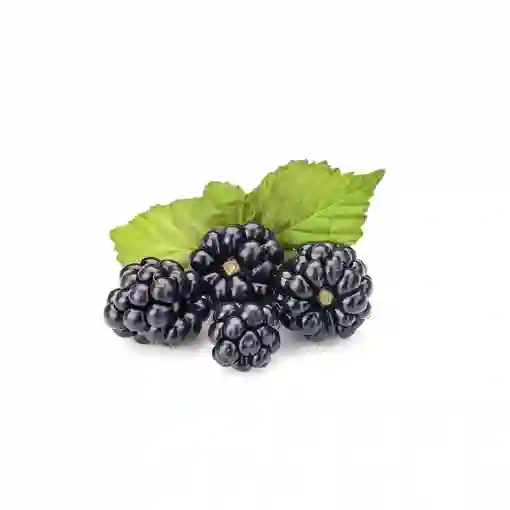 Mora Zarzamora Blackberry Premium - Fruberries