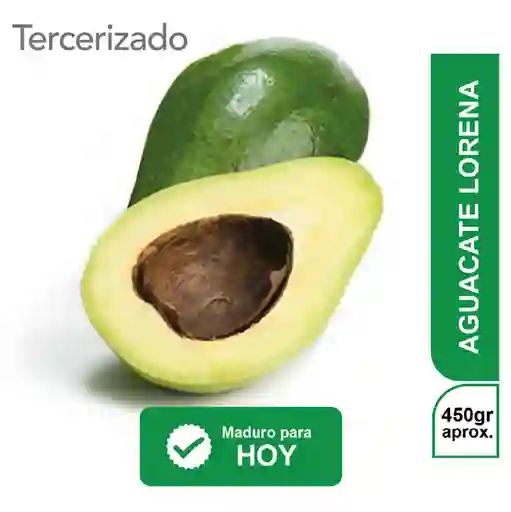 Aguacate Lorena Para Hoy EC