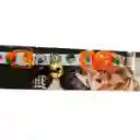 Coastal Pet Collar Para Gato Fashion Sushi