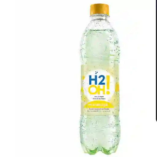 H20