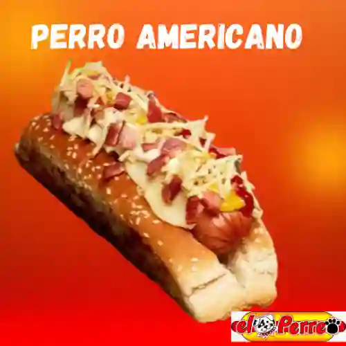 Perro Americano