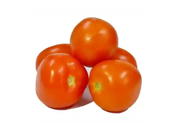 Tomate Chonto