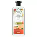 Herbal Essences Shampoo Bio: Renew Toronja y Menta 400 mL