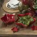 Tazón Mediano Estrella Rojo Ambiente Gourmet