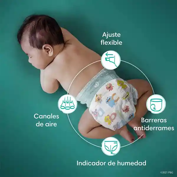 Pañales Pampers Baby-Dry Talla 6 64 Unidades