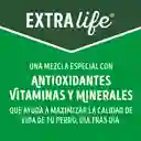 Comida para perro Dog Chow mayores a 7 años (Senior Longevidad) x 2 kg