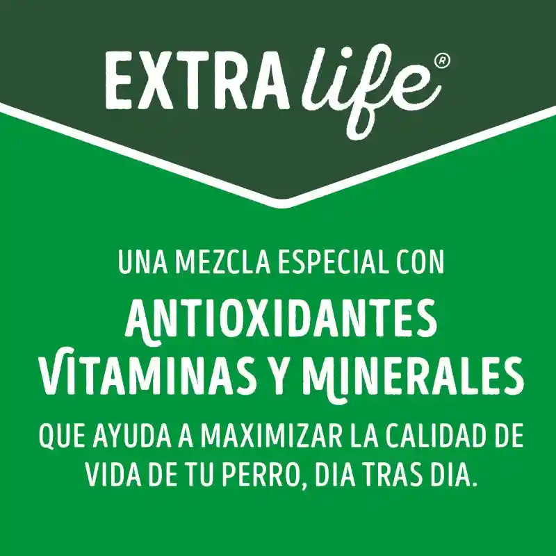 Comida para perro Dog Chow mayores a 7 años (Senior Longevidad) x 2 kg