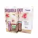 Orquídea kit